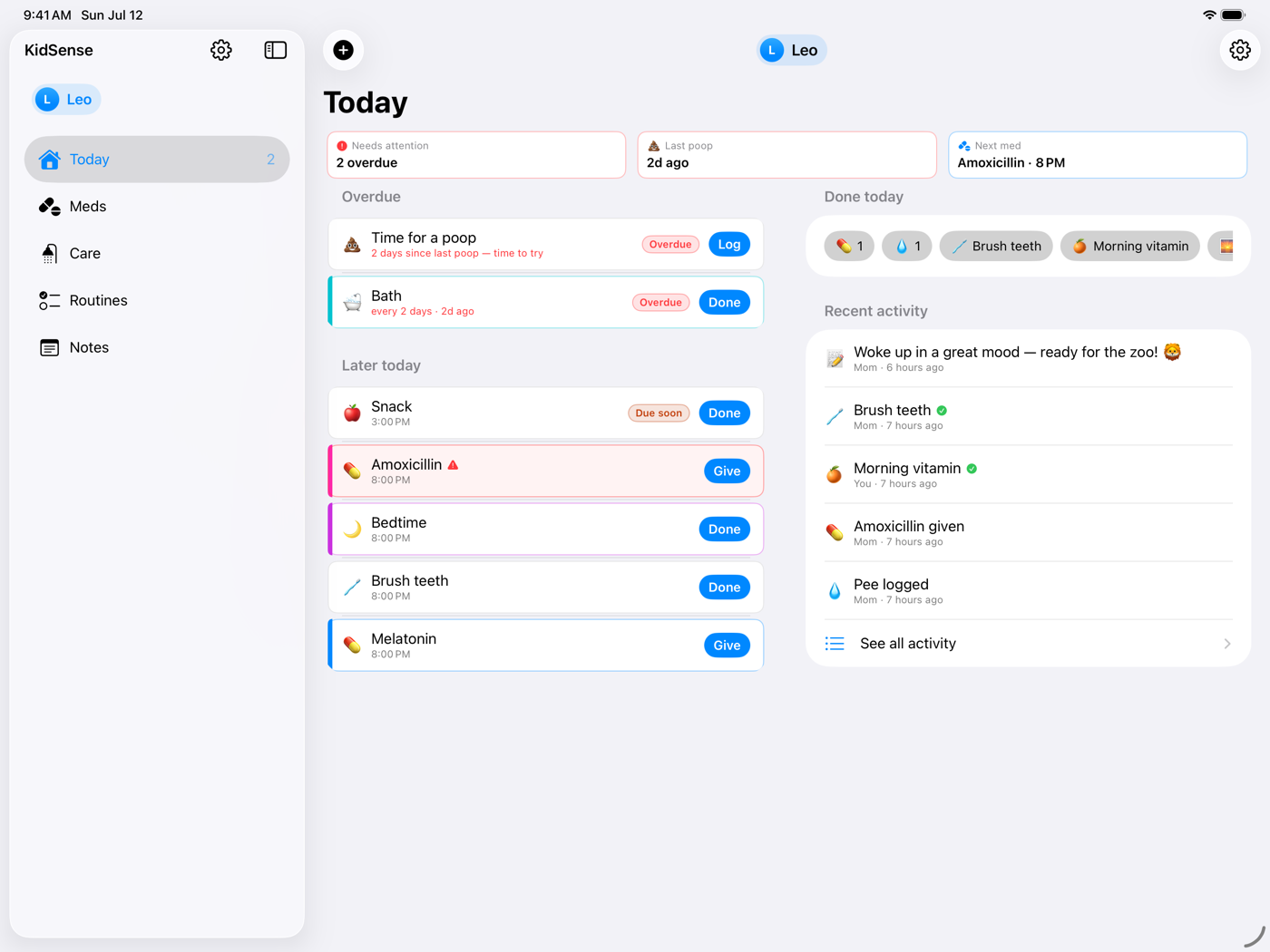 KinSense on iPad in landscape with a sidebar, two-column Today view, and recent activity